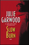 Image for Slow Burn