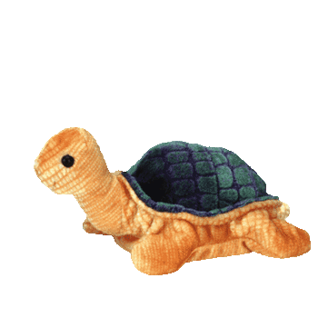 turtle beanie baby